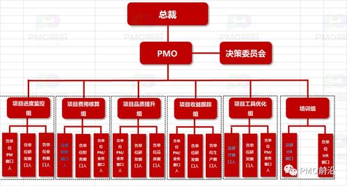 组织级pmo的价值定位 组织架构及项目管理全景图