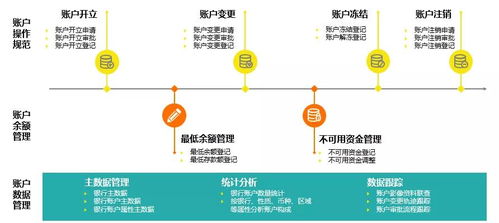 司库管理之运营篇 保障基础交易,加强资源统筹,赋能运营支持