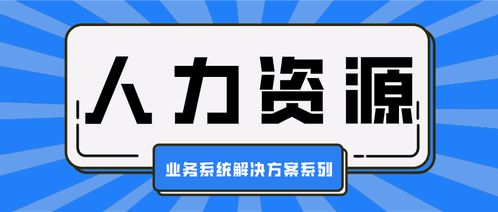 人力资源业务系统解决方案系列