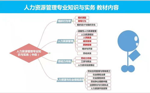 2021年人力资源管理师职称该如何备考