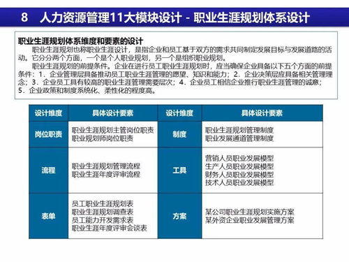 人力资源管理体系设计大全