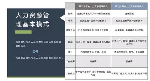 最烧脑的人力资源管理难题, 绩效是如何产生的