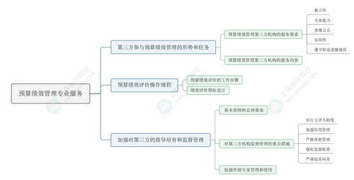 2024年 资产评估实务一 思维导图九 预算绩效管理专业服务