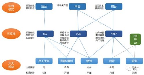 人力资源专业的学生,有哪些职业发展路径